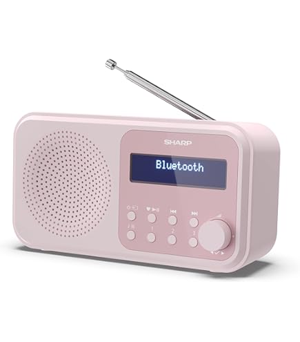 SHARP DR-P520 GY  Osaka - Radio Numérique Portable De Pocket Avec Bluetooth 53 Audio Mono Dabfm Player De Compact Et Leger Alimente Par Usb Cbatterie Double Reveil Couleur Gris 86370793
