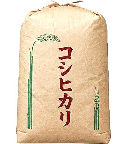 2020年産コシヒカリ玄米30kg１袋 令和7年産 コシヒカリ お米 30kg 玄米 精白米 選べる 1袋 一等米
