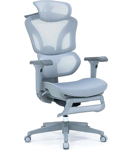 Amazon.co.jp: Hara Chair ハラチェア ニーチェ 《標準モデル