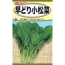 Amazon.co.jp: 株式会社トーホク 早どり小松菜 05352 : Food