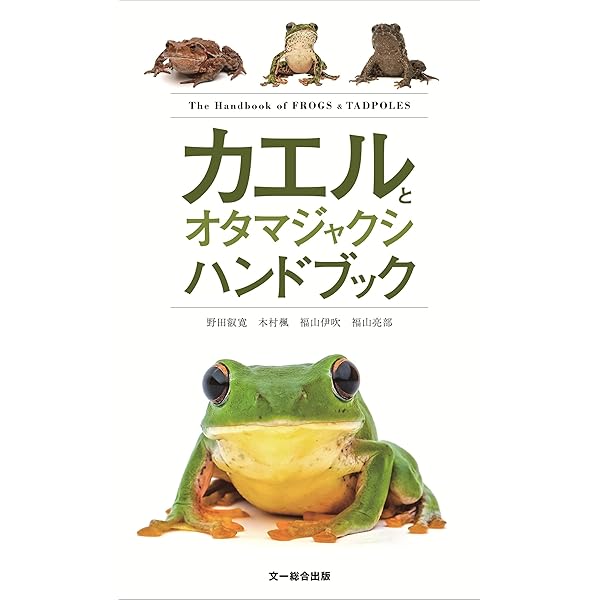 Amazon.co.jp: モグラハンドブック : 飯島 正広, 土屋 公幸: Japanese
