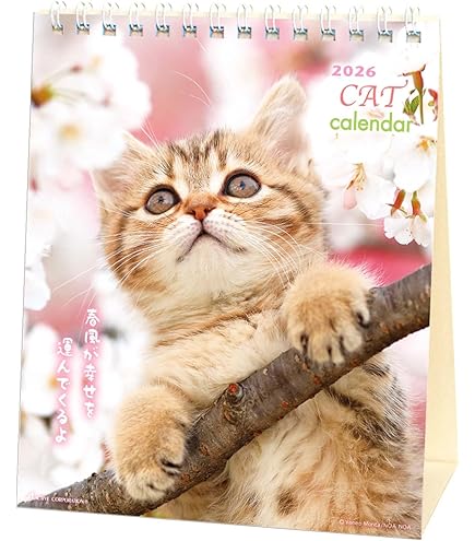Amazon | アクティブコーポレーション 2026 カレンダー 卓上 ぷちねこ