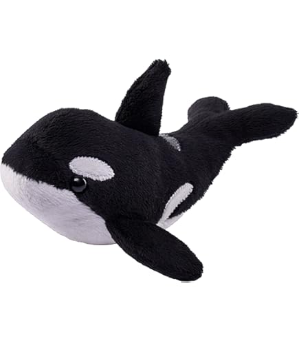 Amazon.co.jp: 名古屋港水族館 限定 白シャチぬいぐるみ 3等 可愛い