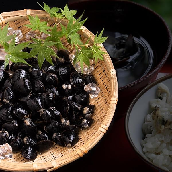 しじみ Ve Pump Rotor Head #146403-3120 #9461615073 4/10L for Zexel Nissan