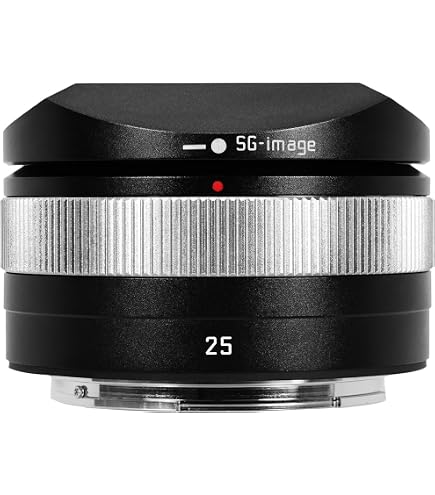 Amazon.co.jp: AstrHori AF 27mm F2.8 STM Zマウント チタン色 : 家電