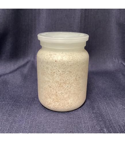 【6個セット】菌糸ブロック LEVIN-G3500 EXCEED CRAFT Amazon.co.jp: 【EXCEED CRAFT】LEVIN-G3500 3500cc オオヒラタケ