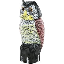 3点おまとめ・ふくろう、亀、鳥 3点おまとめ・ふくろう、亀、鳥