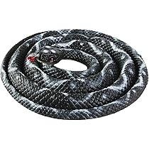 タカラ　レア玩具　LuckySnake　ラッキースネーク タカラ レア玩具 LuckySnake ラッキースネーク