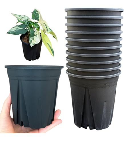 Amazon.co.jp: 洋蘭プラ鉢 4号 10個 黒ラン鉢 プラ鉢 12cm 薔薇 苗 深