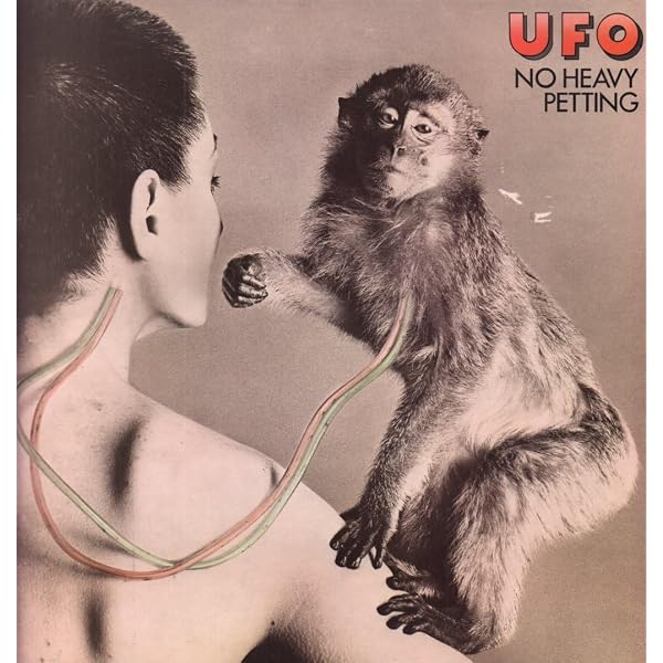 Amazon.co.jp: No Heavy Petting/Lights Out: Music