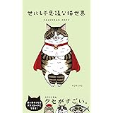 2022ポストカードカレンダー 世にも不思議な猫世界 ([カレンダー])
