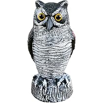 Amazon.co.jp: 鳥よけ 鳩よけ フクロウ 置物 本物そっくり 鳥も