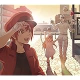 Fight!! (期間生産限定盤(アニメ盤)) (DVD付)