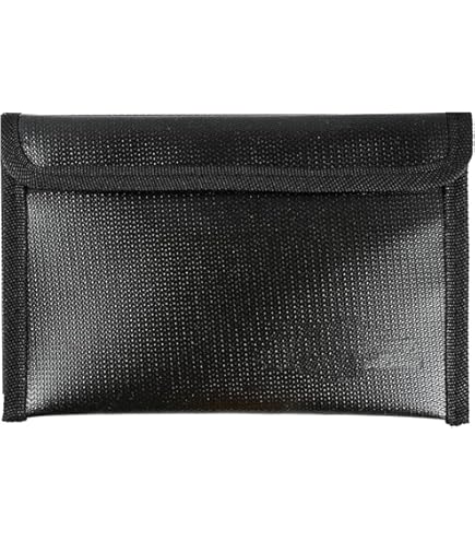 Amazon.co.jp: Cryptosteel Cassette Solo – 耐火ステンレススチール