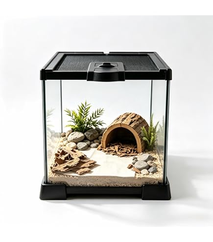 Amazon | Niesporek 爬虫類 トカゲ ケージ カナヘビ飼育ケース