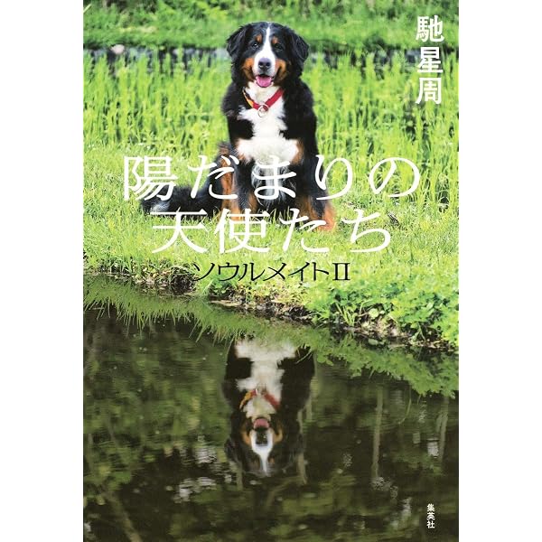 ソウルメイト | 馳 星周 |本 | 通販 | Amazon