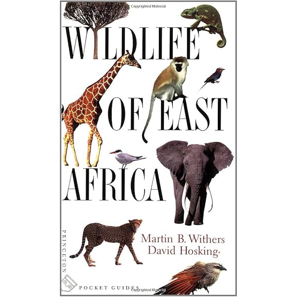 Amazon.co.jp: Serengeti: Natural Order on the African Plain : 本