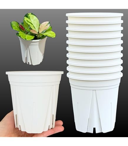 Amazon | 大和プラスチック 鉢・ポット プラ鉢 4号 φ130×H116 ブラウン