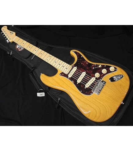 Amazon | FUJIGEN Neo Classic NST100RAL-3TS/01 エレキギター