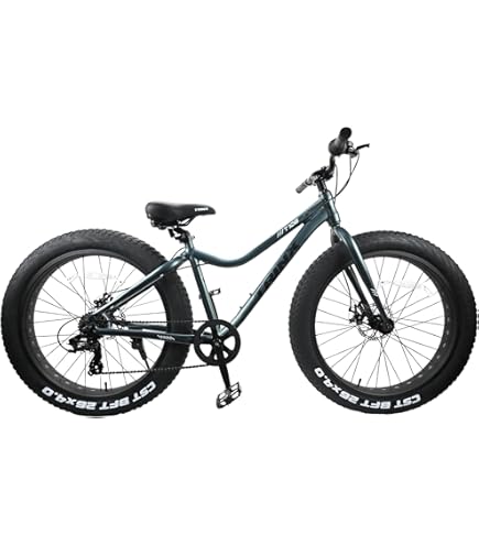 Amazon | 自転車 通販 BRONX 26BRONX-4.0 マットグレー