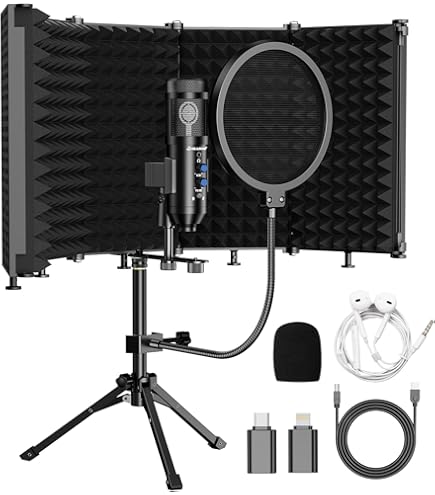 ISK BM-600 Kondensator-Mikrofon – Vielseitig Für Studio-Aufnahmen, Großmembran