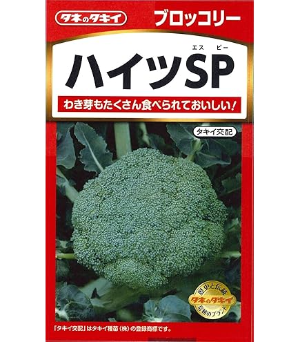 Amazon | タキイ種苗 ブロッコリー ハイツSP ABR022 | 野菜