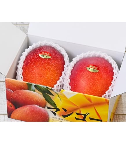 訳あり沖縄県産 マンゴー 5kg(12〜16玉) 訳あり沖縄県産 マンゴー 5kg