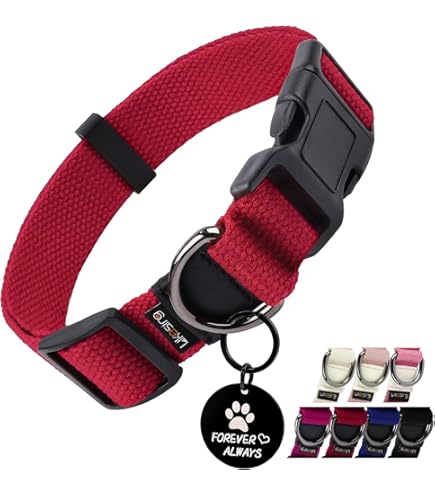 リュクスバーディ　首輪　2色セット Amazon | 犬 猫の首輪 Luxe birdie Luxeグランマルチカラー 25