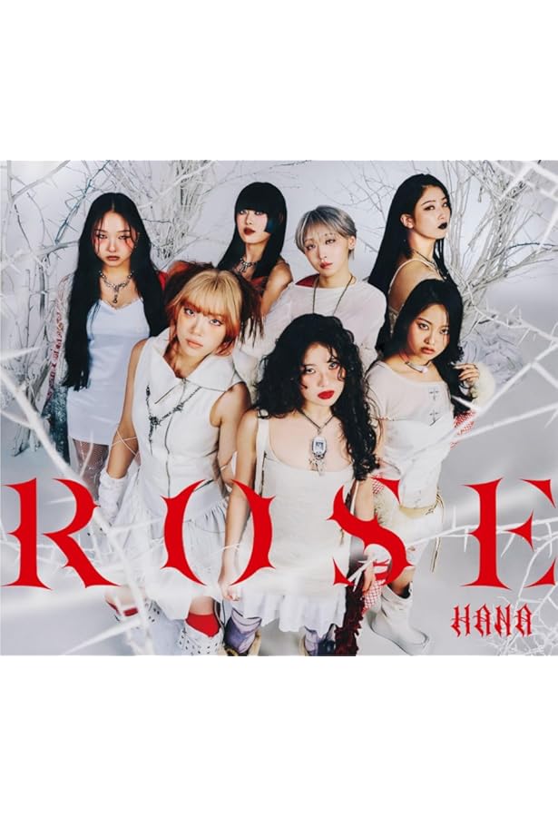 VI/NYL(バイ&ナル) #023 HANA 【表紙：HANA】 | VI/NYL |本 | 通販