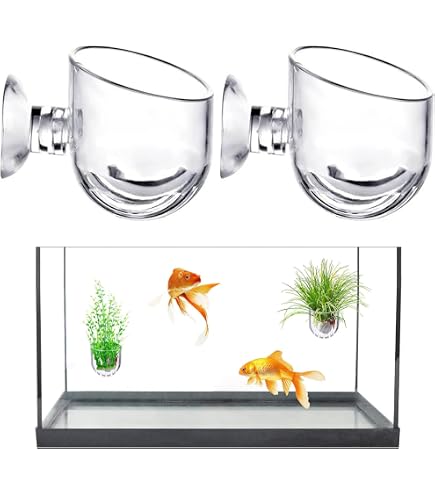 Amazon | 2個セット ガラス 水槽鉢 水草ポット スカイガーデン 水草 