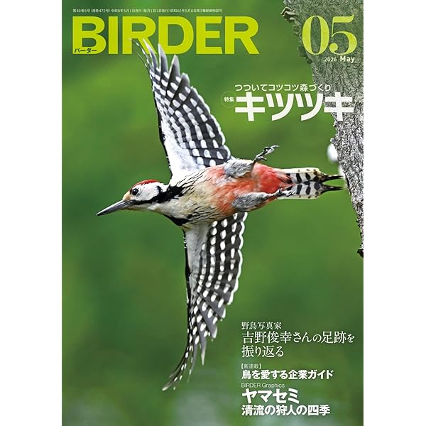 BIRDER（バーダー）2025年12月号 鳥撮カメラ使いこなし術 | BIRDER編集