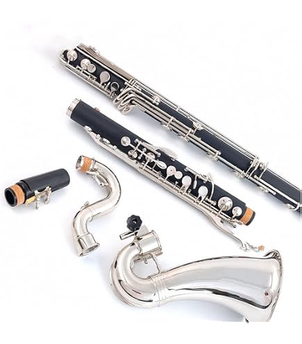 Amazon | Selmer 5015 ソプラノクラリネットケース | クラリネット