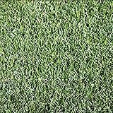 【種 3kg】 ケンタッキーブルーグラス ヌーブループラス 緑化用 芝生用 緑肥 [播種期：4～10月] 雪印種苗 米S代不