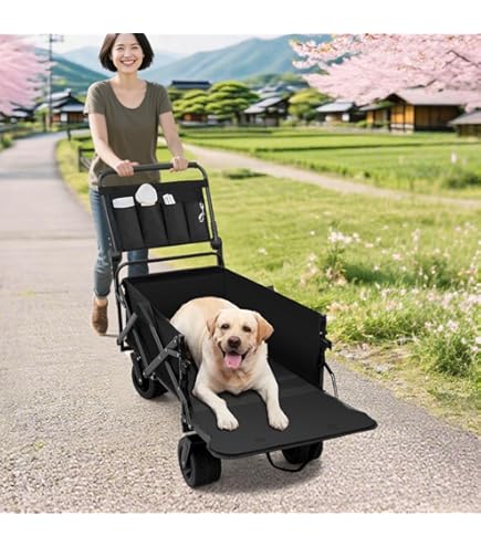 ★美品★BONBI ボンビアルコン ペットバギー オリーブ Amazon | ボンビアルコン (Bonbi) ペットバギー DECAプログレ オリーブ