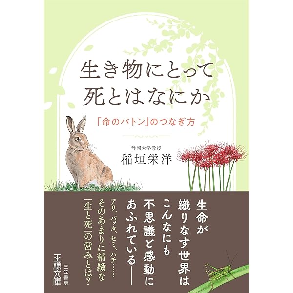 お話し中なぜ仏像はハスの花の上に座っているのか 仏教と植物の切っても切れない66 なぜ仏像はハスの花の上に座っているのか 仏教と植物の切っても切れ