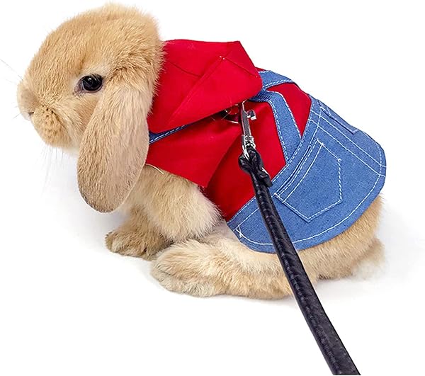 Hitasi 子猫 ハーネス リード セット 可愛い うさぎ服 デニム 格子 モルモット 子犬 小動物用 胸あて式 調整可能 着ぐるみ お散歩用リード お出かけ用品 迷子防止 牽引ロープ 矮小ウサギに最適 簡単着脱 記念撮影 仮装 ペット用品 M(1?2kgのウサギに最適) 赤-帽子付き - 1