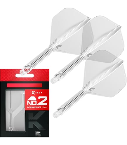 Amazon | Target Darts Raymond Van Barneveld RVB 25年版 25G
