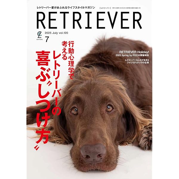 創刊号‼️〜No.48‼️抜け無し‼️レトリーバー/RETRIEVER/ワン ちゃん 創刊号‼️〜No.48‼️抜け無し‼️レトリーバー/RETRIEVER/ワン