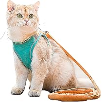 ねこねこ Amazon.co.jp: B.toys ビートイズ おさんぽこねこ （BX1655Z