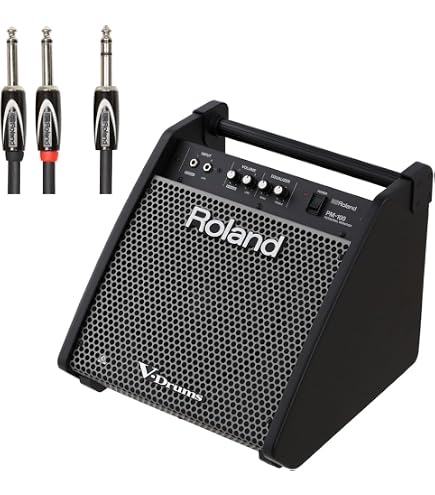 Roland ローランド PM-100 パーソナルモニター モニタースピーカー