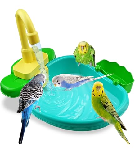 Amazon.co.jp: Felizchi 鳥 水遊び 水浴び容器 バスタブ インコ 小鳥用