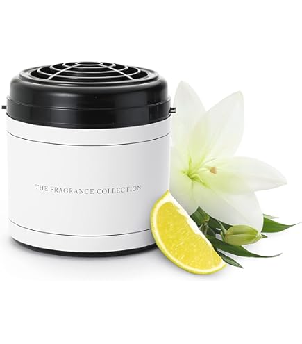 Amazon.co.jp: The Ritz-Carlton キャンドル - アメリア島 - 静かな水