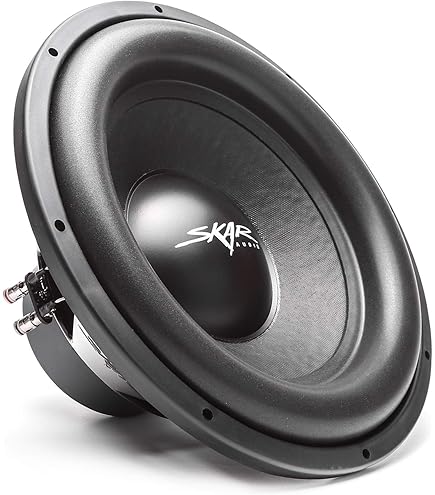 Amazon.co.jp: カーオーディオ デュアル15インチ シールドサブ