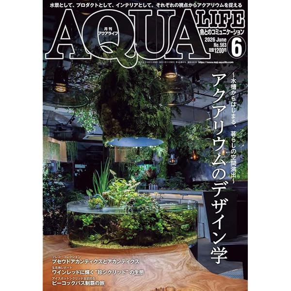 月刊アクアライフ 2024年 12 月号 30cmキューブ水槽 [雑誌] | アクア
