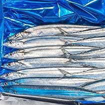 油絵（秋刀魚）さんま　Ｆ4 油絵（秋刀魚）さんま F4 - メルカリ