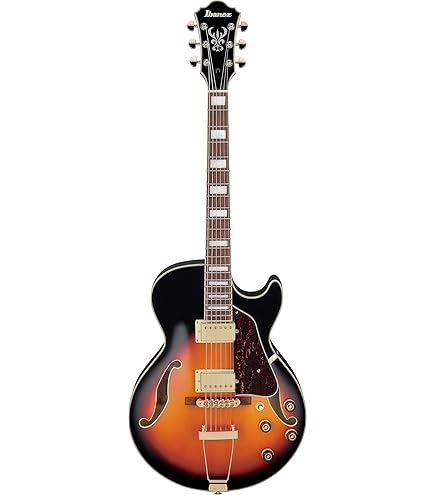 Amazon | VOX/Giulietta VGA-3D Trans Black ボックス | エレキギター