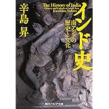 インド史 南アジアの歴史と文化 (角川ソフィア文庫)