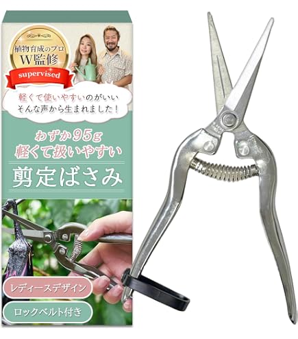Amazon.co.jp: 昌国 白染 五葉芽つみ鋏 8005 : DIY・工具・ガーデン