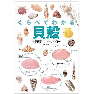 マルチメディア魚類図鑑 Ｗｉｎｄｏｗｓ　＆　Ｍａｃｉｎｔｏｓｈ対応/アスキ-・メディアワ-クス/田口哲（単行本） マルチメディア魚類図鑑 Windows ＆ Macintosh