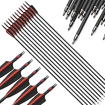 アーチェリー　矢 Amazon.co.jp: 31インチ アーチェリー矢 狩猟 木製 矢 弓矢 弓道